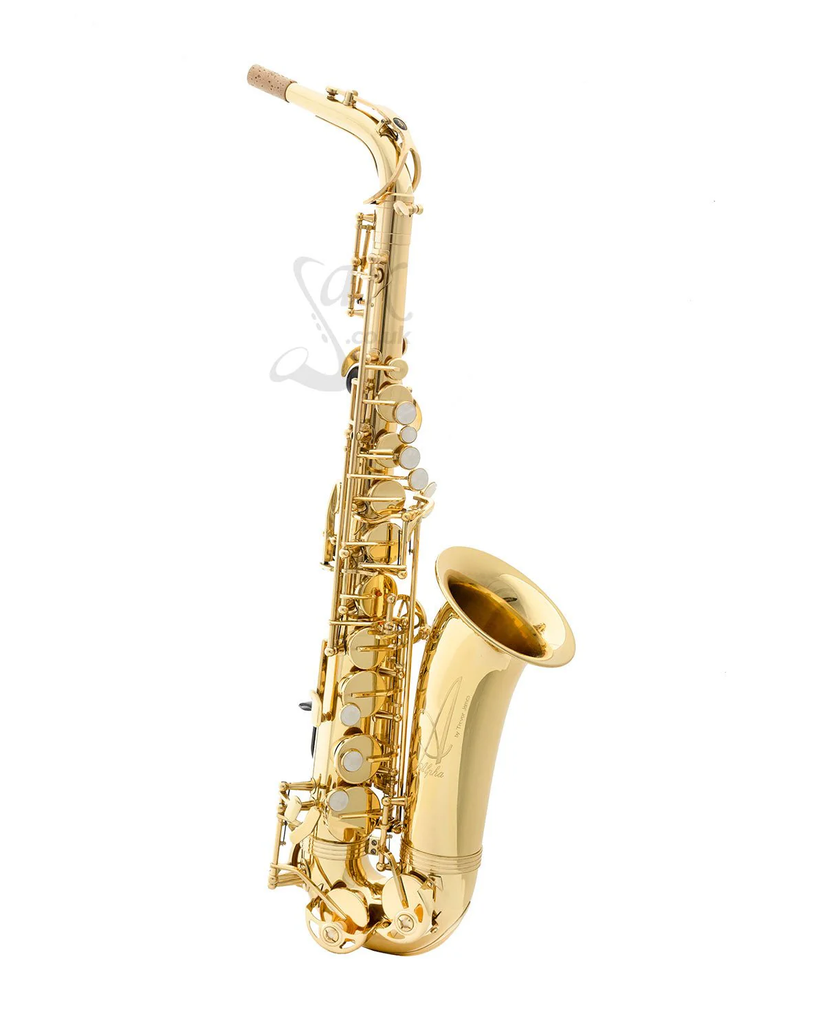 New to the Saxophone